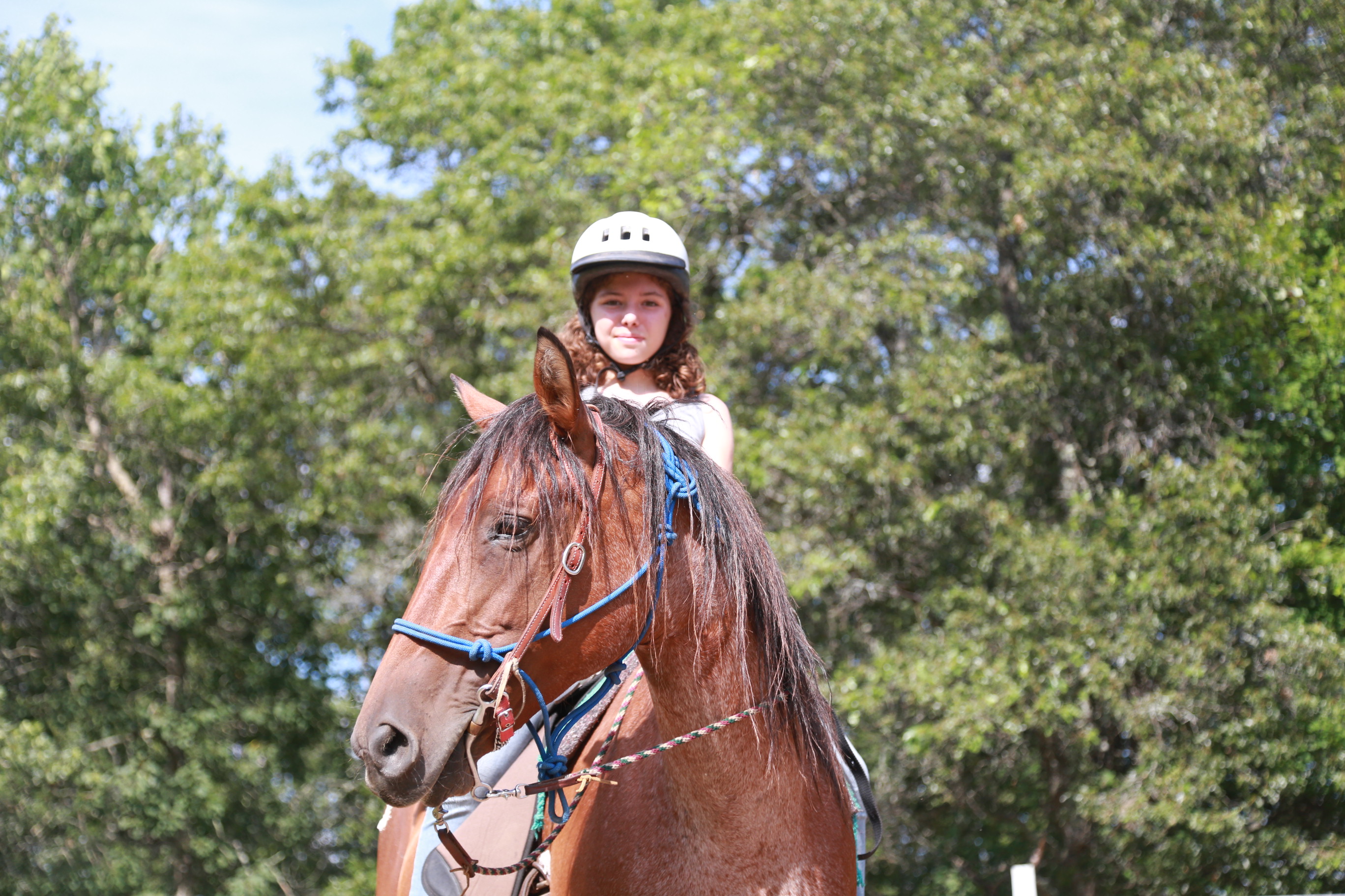 camp horse  riding