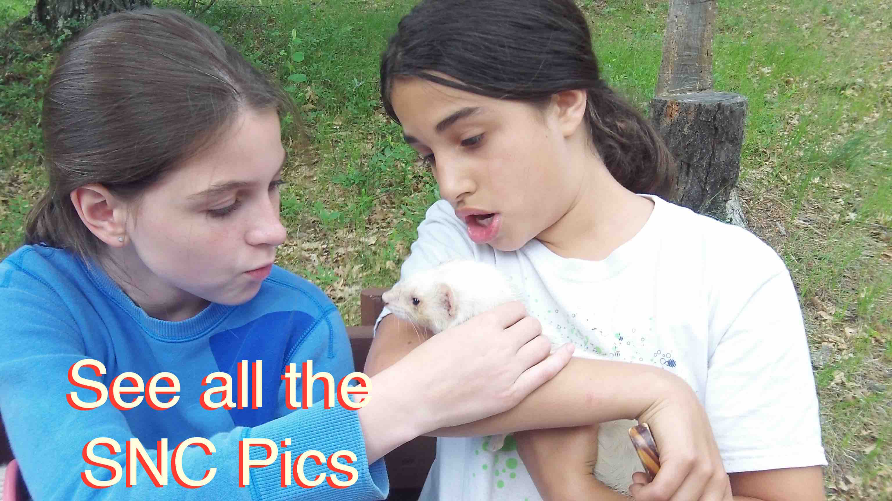 kids_with_animals-jpg.jpg