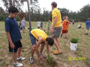 Planting trees in nature