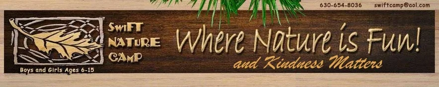 Swift Nature Camp – Where Nature is Fun! and Kindness Matters. Boys and girls ages 6–15. Phone 630-654-8036, swiftcamp@aol.com