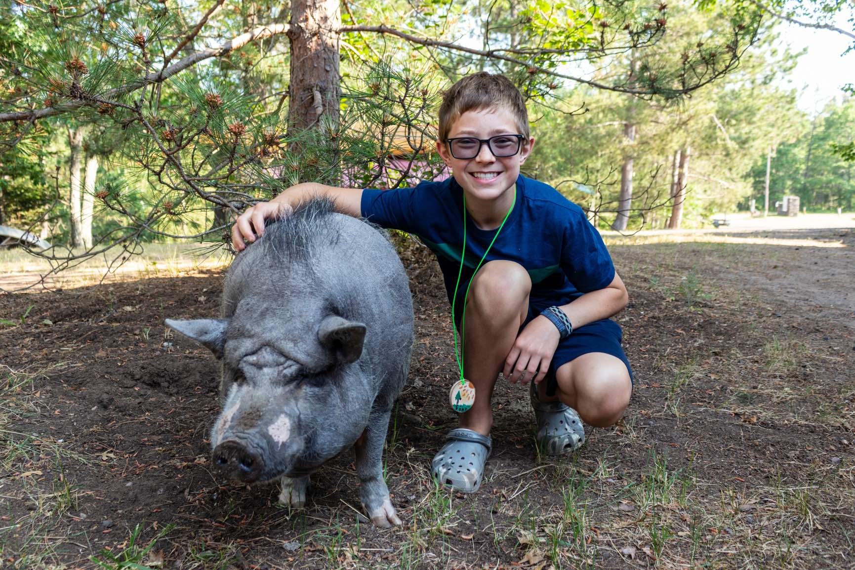 6 Benefits Of Animal Summer Camps in 2024